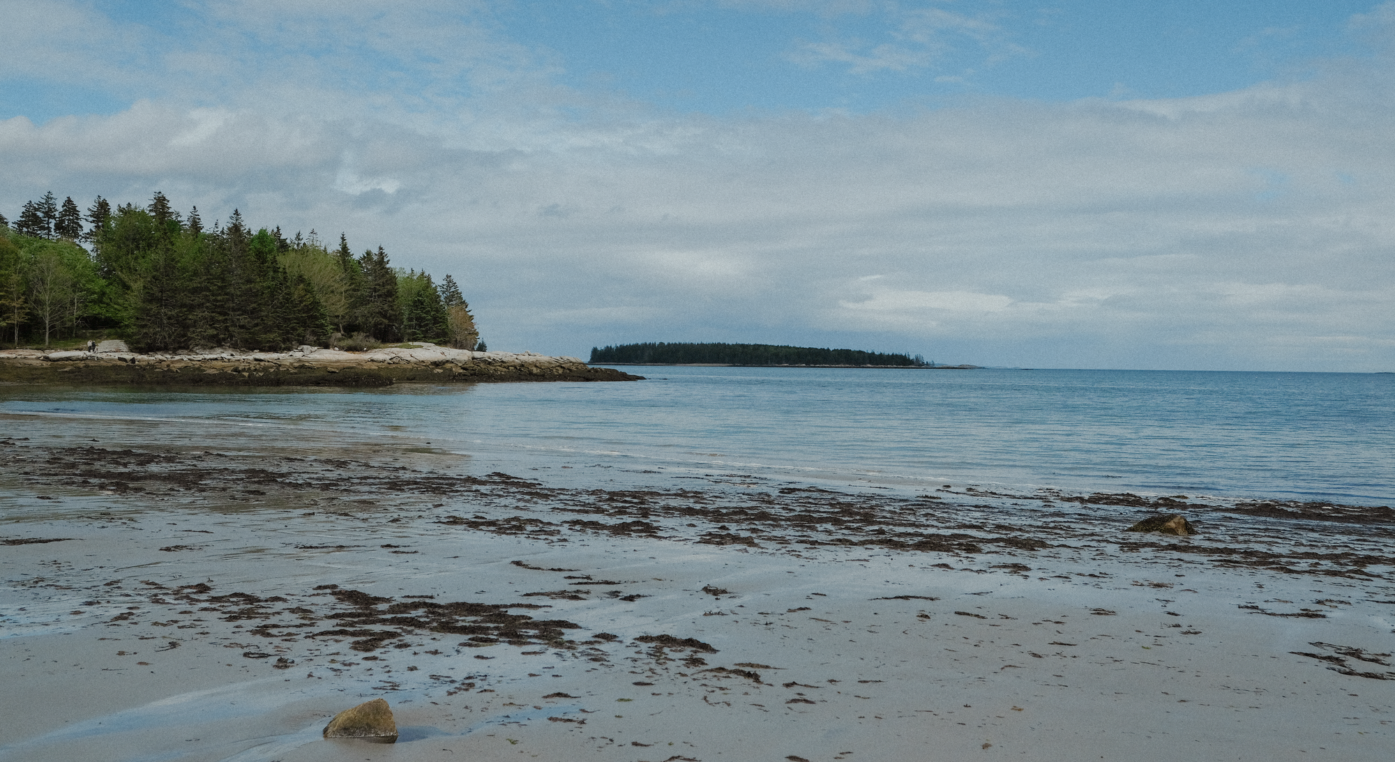 Beach scene with trees and an island in the distance under a blue sky with clouds.